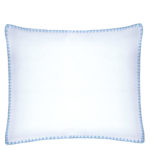 4051244518895-00-Soft-FleeceBaby-kuscheliger-Kissenbezug-azur-blau