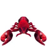 Kissen in Hummerform fuer Sofa und Couch, rot in 95x35x19cm, zoeppritz Lobster