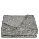 4051244564113-00-decke-polyester-viskose-lightgrey-160x200-softfleecelegacy-920