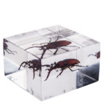 4005133044996-02-jags-friends-zoeppritz-deko-briefbeschwerer-rot