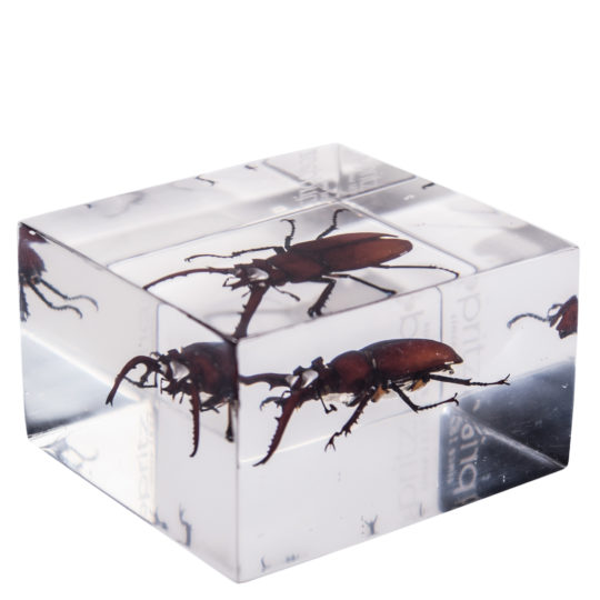 4005133044996-02-jags-friends-zoeppritz-deko-briefbeschwerer-rot